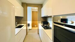 Skyline Residences (D4), Condominium #487449021